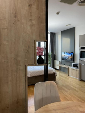 Modern Studio near Mall of Istanbul - Batisehir 66